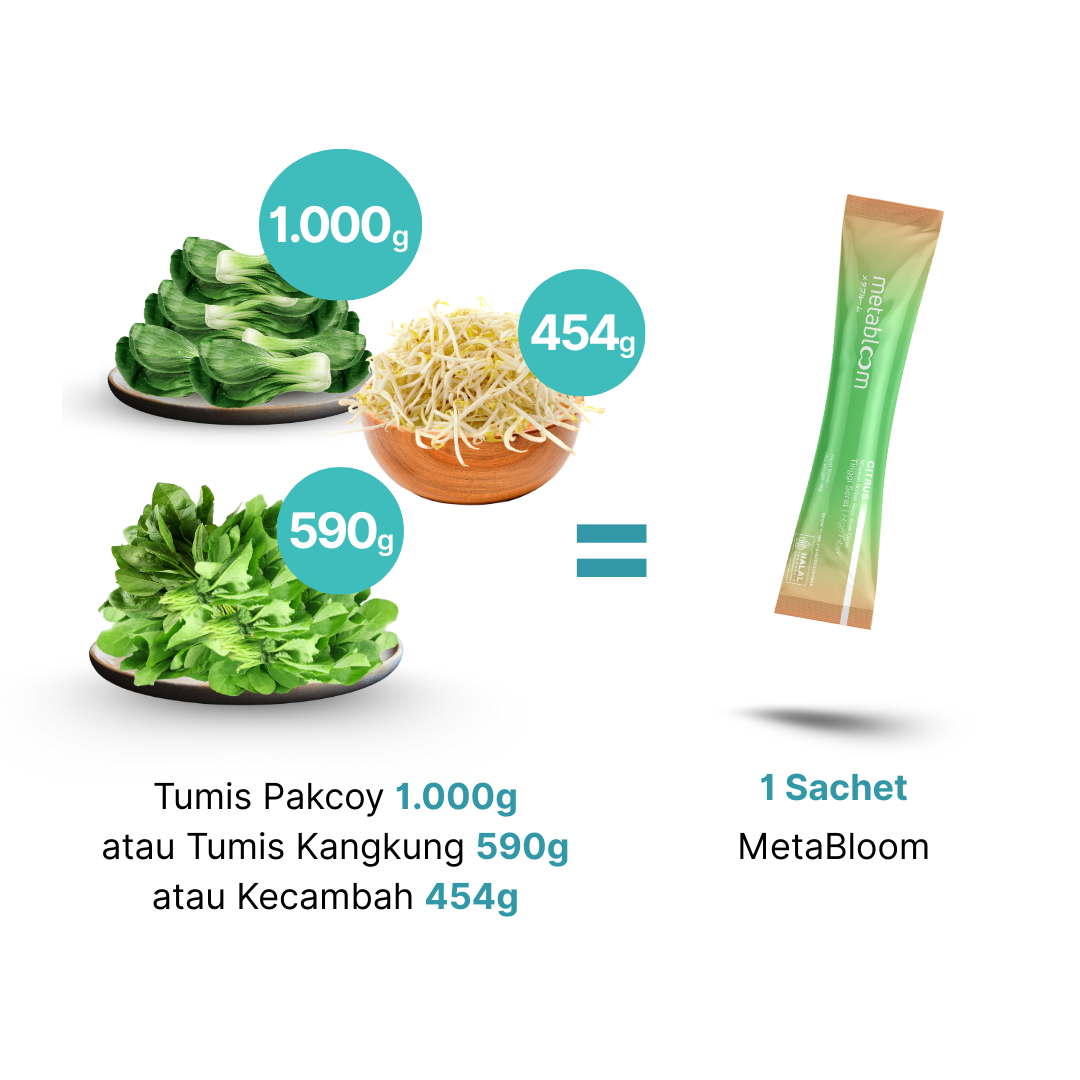 MetaBloom Fiber Content Comparison 10 g per Sachet